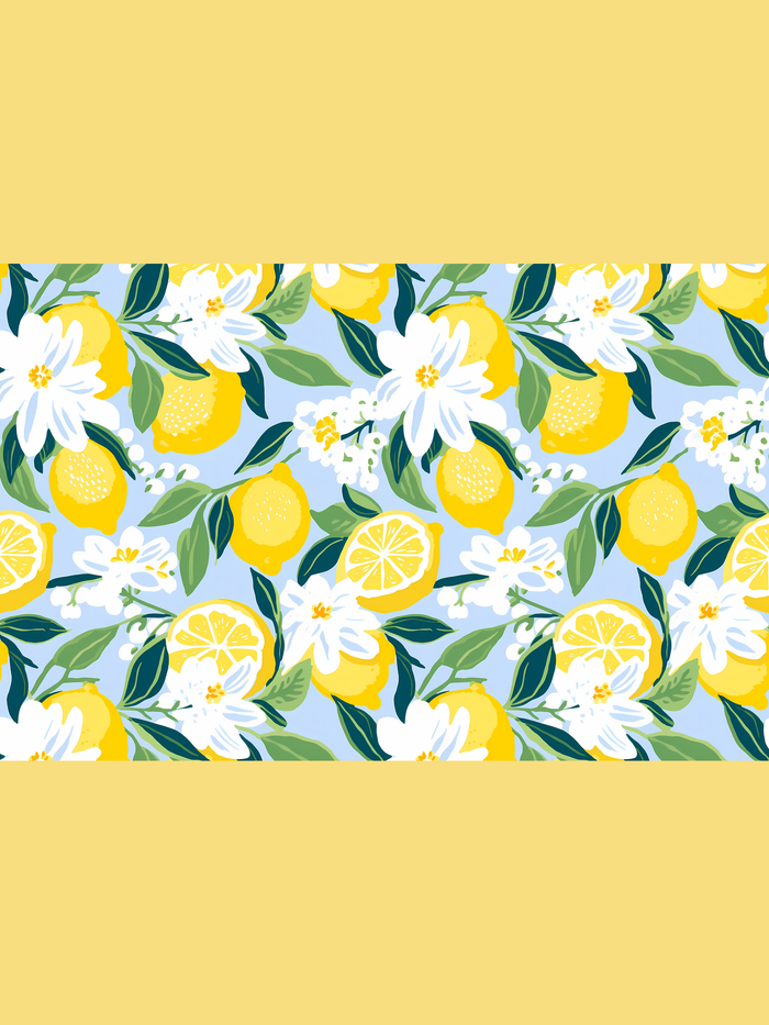 11x17 PREPPY PLEASE VOL 2 insert set of 10