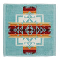 Aqua Wash Cloth
