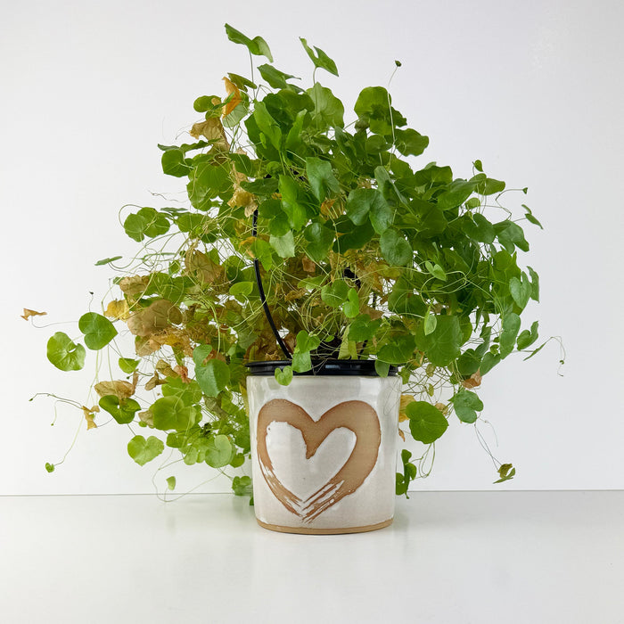 Beautiful NZ Handmade Plant Pot with Heart - ShopNZ