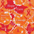 Cancer Fabric, Leukemia Cancer Fabric, Inspirational words, Orange, Cotton or Fleece 7118 - Beautiful Quilt