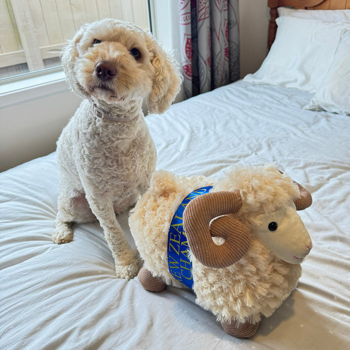 Champion NZ Ram Sheep Toy - ShopNZ
