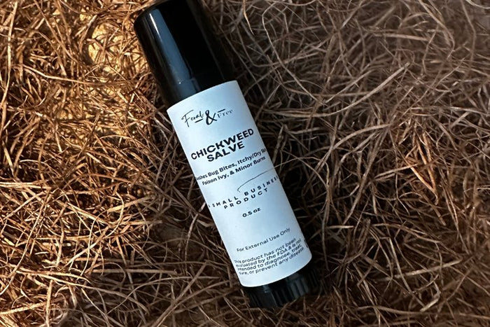 Ayers Valley Farm - Chickweed Salve Stick - .5 oz