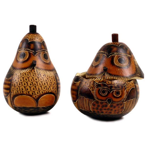 Gourd Box - Owl Hand Carved Trinket Container 5"