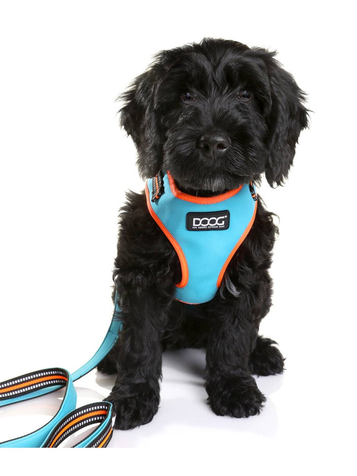 'Neoflex' Soft Harness - BEETHOVEN (Neon)