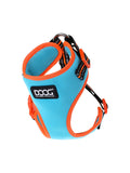 Neoflex Soft Harness BEETHOVEN Neon | Buy Now