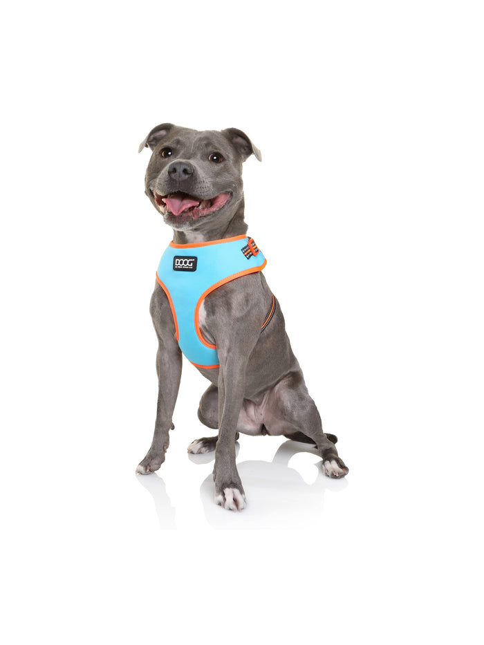 Neoflex Soft Harness BEETHOVEN Neon | Buy Now