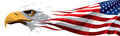 Patriotic Fabric, Custom Print Panel, Eagle and American Flag 2128 - Beautiful Quilt