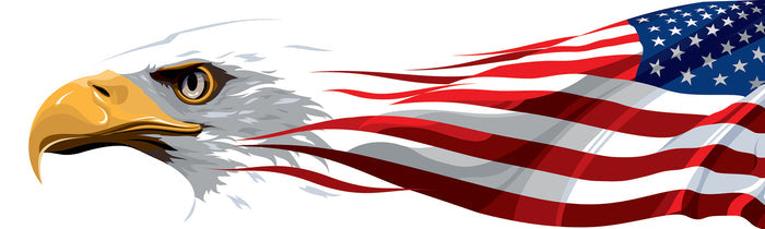 Patriotic Fabric, Custom Print Panel, Eagle and American Flag 2128 - Beautiful Quilt