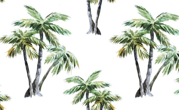 Tropical Palms | Wallpaper